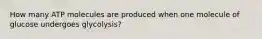 How many ATP molecules are produced when one molecule of glucose undergoes glycolysis?