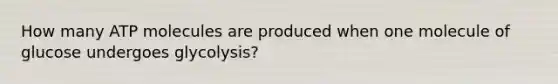 How many ATP molecules are produced when one molecule of glucose undergoes glycolysis?