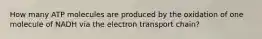 How many ATP molecules are produced by the oxidation of one molecule of NADH via the electron transport chain?