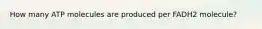 How many ATP molecules are produced per FADH2 molecule?