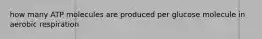 how many ATP molecules are produced per glucose molecule in aerobic respiration