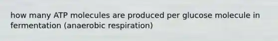 how many ATP molecules are produced per glucose molecule in fermentation (anaerobic respiration)