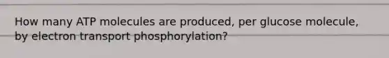 How many ATP molecules are produced, per glucose molecule, by electron transport phosphorylation?