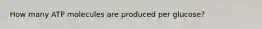 How many ATP molecules are produced per glucose?