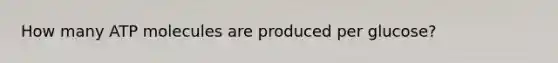 How many ATP molecules are produced per glucose?