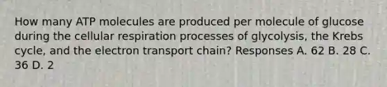 How many ATP molecules are produced per molecule of glucose during the cellular respiration processes of glycolysis, the <a href='https://www.questionai.com/knowledge/kqfW58SNl2-krebs-cycle' class='anchor-knowledge'>krebs cycle</a>, and <a href='https://www.questionai.com/knowledge/k57oGBr0HP-the-electron-transport-chain' class='anchor-knowledge'>the electron transport chain</a>? Responses A. 62 B. 28 C. 36 D. 2