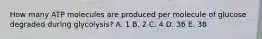 How many ATP molecules are produced per molecule of glucose degraded during glycolysis? A. 1 B. 2 C. 4 D. 36 E. 38