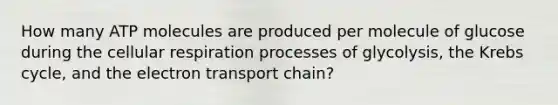 How many ATP molecules are produced per molecule of glucose during the cellular respiration processes of glycolysis, the Krebs cycle, and the electron transport chain?