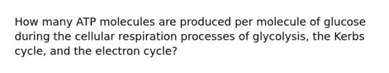 How many ATP molecules are produced per molecule of glucose during the cellular respiration processes of glycolysis, the Kerbs cycle, and the electron cycle?