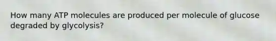 How many ATP molecules are produced per molecule of glucose degraded by glycolysis?