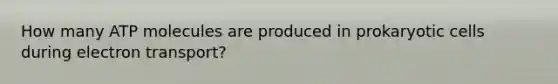 How many ATP molecules are produced in prokaryotic cells during electron transport?