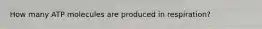 How many ATP molecules are produced in respiration?