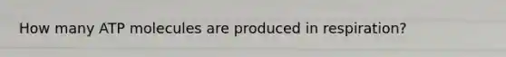 How many ATP molecules are produced in respiration?