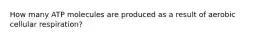 How many ATP molecules are produced as a result of aerobic cellular respiration?