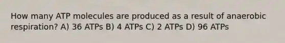 How many ATP molecules are produced as a result of anaerobic respiration? A) 36 ATPs B) 4 ATPs C) 2 ATPs D) 96 ATPs