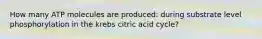 How many ATP molecules are produced: during substrate level phosphorylation in the krebs citric acid cycle?