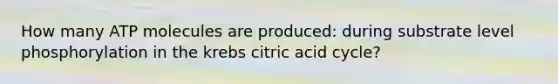 How many ATP molecules are produced: during substrate level phosphorylation in the krebs citric acid cycle?