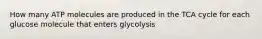 How many ATP molecules are produced in the TCA cycle for each glucose molecule that enters glycolysis