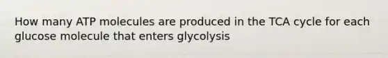 How many ATP molecules are produced in the TCA cycle for each glucose molecule that enters glycolysis