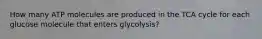 How many ATP molecules are produced in the TCA cycle for each glucose molecule that enters glycolysis?