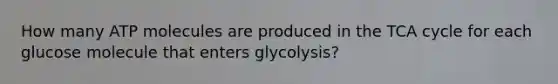 How many ATP molecules are produced in the TCA cycle for each glucose molecule that enters glycolysis?