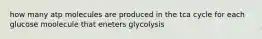 how many atp molecules are produced in the tca cycle for each glucose moolecule that eneters glycolysis