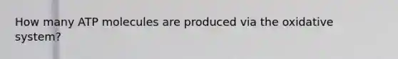 How many ATP molecules are produced via the oxidative system?