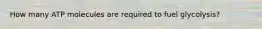 How many ATP molecules are required to fuel glycolysis?