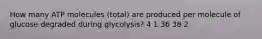 How many ATP molecules (total) are produced per molecule of glucose degraded during glycolysis? 4 1 36 38 2