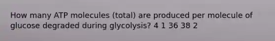 How many ATP molecules (total) are produced per molecule of glucose degraded during glycolysis? 4 1 36 38 2