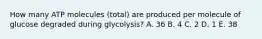 How many ATP molecules (total) are produced per molecule of glucose degraded during glycolysis? A. 36 B. 4 C. 2 D. 1 E. 38