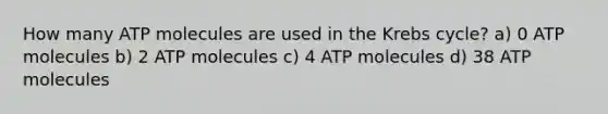 How many ATP molecules are used in the Krebs cycle? a) 0 ATP molecules b) 2 ATP molecules c) 4 ATP molecules d) 38 ATP molecules