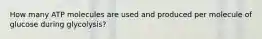 How many ATP molecules are used and produced per molecule of glucose during glycolysis?