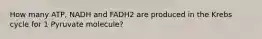 How many ATP, NADH and FADH2 are produced in the Krebs cycle for 1 Pyruvate molecule?