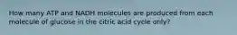 How many ATP and NADH molecules are produced from each molecule of glucose in the citric acid cycle only?