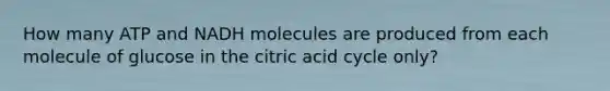 How many ATP and NADH molecules are produced from each molecule of glucose in the citric acid cycle only?