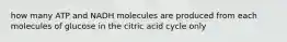 how many ATP and NADH molecules are produced from each molecules of glucose in the citric acid cycle only