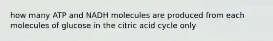 how many ATP and NADH molecules are produced from each molecules of glucose in the citric acid cycle only