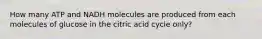 How many ATP and NADH molecules are produced from each molecules of glucose in the citric acid cycle only?