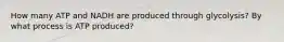 How many ATP and NADH are produced through glycolysis? By what process is ATP produced?