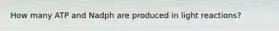 How many ATP and Nadph are produced in light reactions?