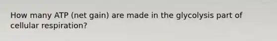 How many ATP (net gain) are made in the glycolysis part of cellular respiration?