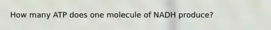 How many ATP does one molecule of NADH produce?