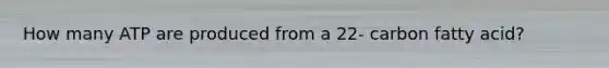 How many ATP are produced from a 22- carbon fatty acid?