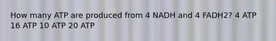 How many ATP are produced from 4 NADH and 4 FADH2? 4 ATP 16 ATP 10 ATP 20 ATP