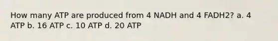 How many ATP are produced from 4 NADH and 4 FADH2? a. 4 ATP b. 16 ATP c. 10 ATP d. 20 ATP