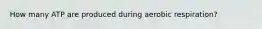 How many ATP are produced during aerobic respiration?