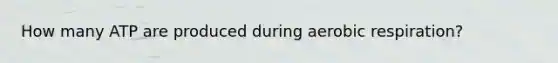 How many ATP are produced during aerobic respiration?