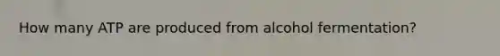 How many ATP are produced from alcohol fermentation?