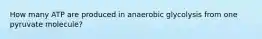 How many ATP are produced in anaerobic glycolysis from one pyruvate molecule?
